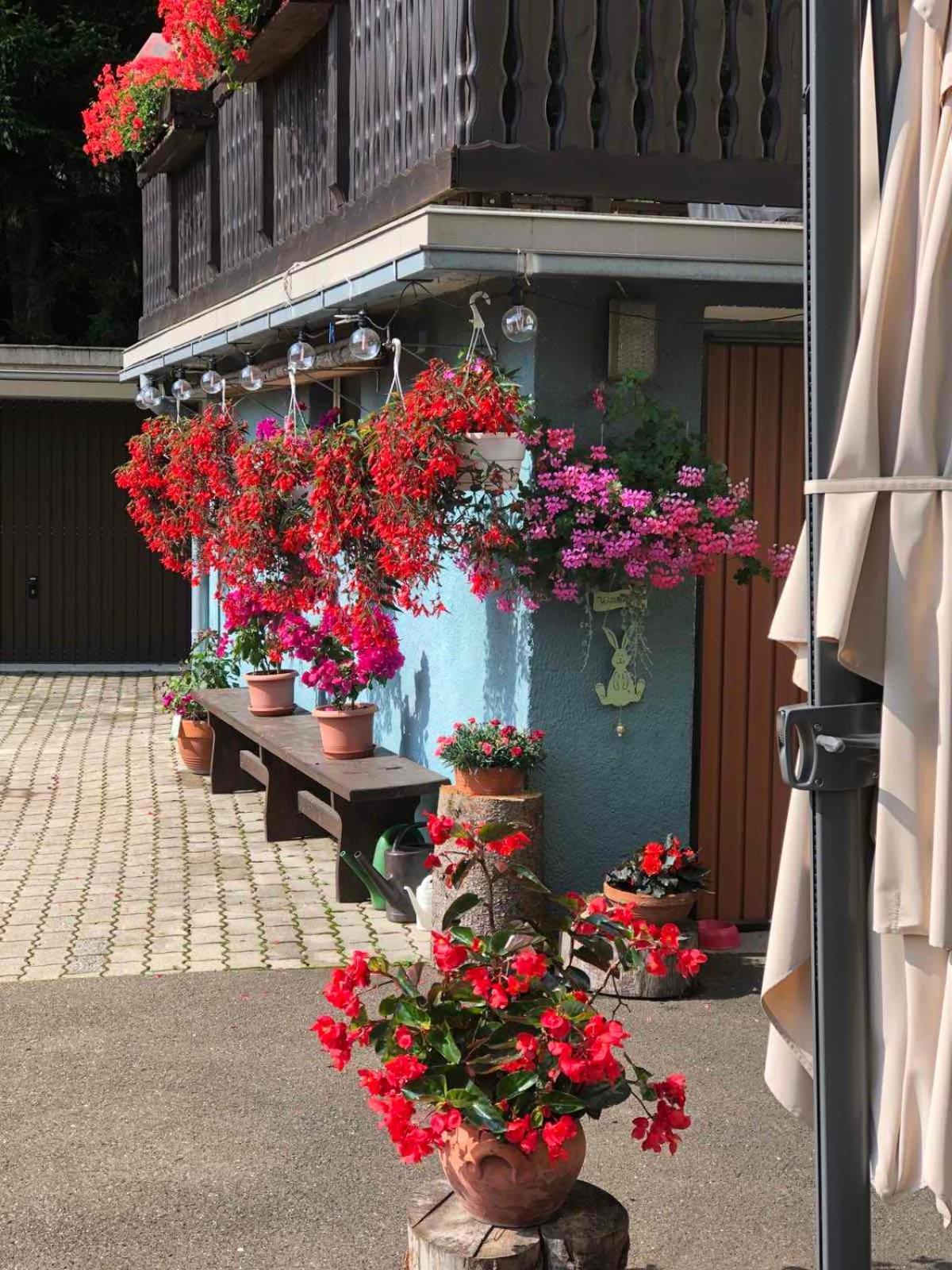 VordernbergHaus-Erzberg住宿加早餐旅馆 外观 照片