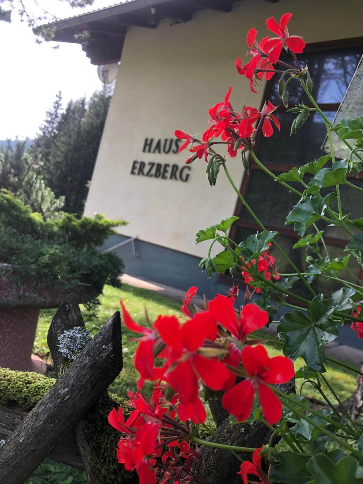 VordernbergHaus-Erzberg住宿加早餐旅馆 外观 照片